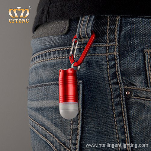 Promotional Selling Mini LED Carabiner Keychain Light